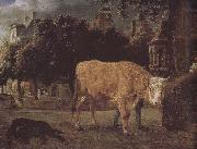 Square cattle Jan van der Heyden